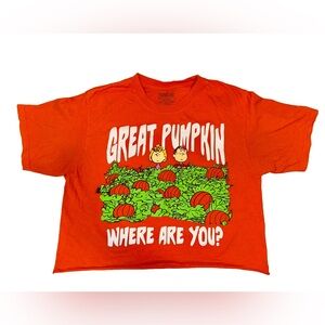 Peanuts Orange & Green Great Pumpkin Graphic Tee Short Sleeve 🎃
